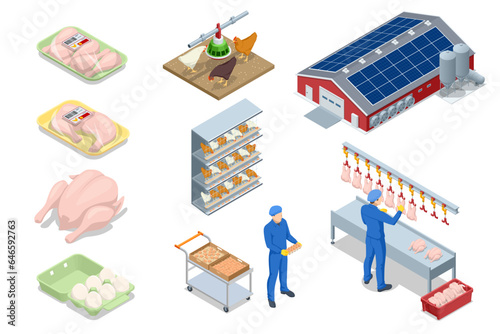 Isometric set icons of Poultry Farming concept. Poultry farm building, production of chicken meat, eggs, poultry products. Chicken on an organic farm, freely grazing on a meadow. Organic farming.