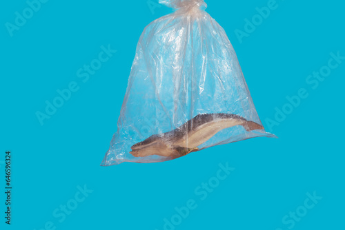whale in plastic bag concept of plastic pollution and waste in the oceans