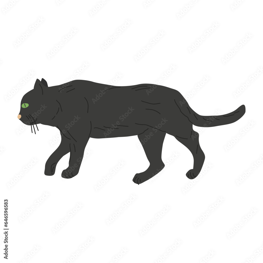 Cat is drawn in a goes position. Cat black. Design of a banner, poster, pet store and pet supplies. Vector flat illustration.