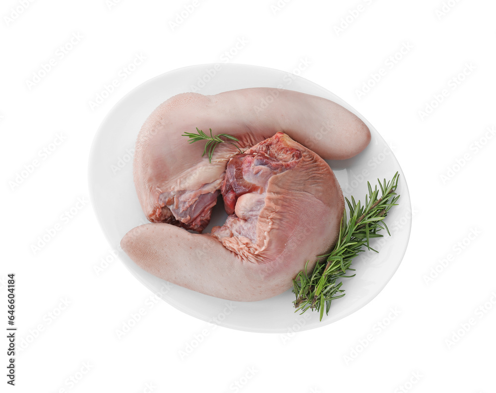 Plate with raw beef tongues and rosemary on white background, top view Plate with raw beef tongues and rosemary on white background, top view