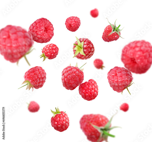 Many fresh ripe raspberries falling on white background