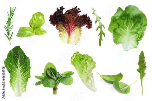 Set with greens isolated on white. Rosemary, leaves of lettuce, spinach, basil and arugula