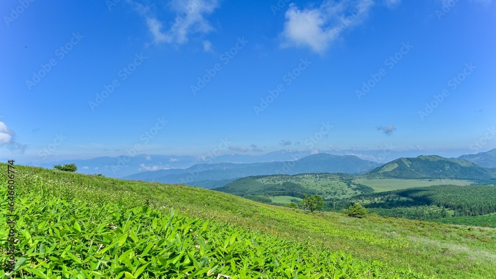 青空バックに見る夏の車山高原の情景