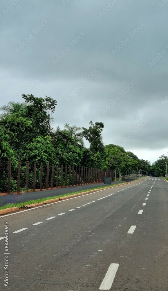 Fototapeta premium road in the park