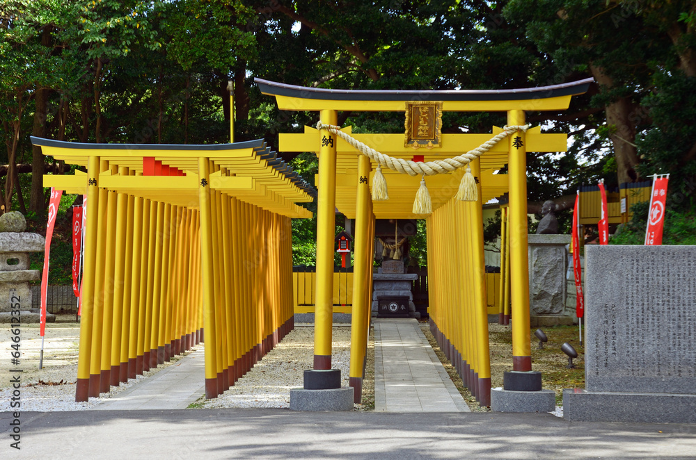 Yellow torii gates at Hoshiimo Shrine in Ibaraki Prefecture, Japan
Yellow torii gates at Hoshiimo Shrine in Ibaraki Prefecture, Japan