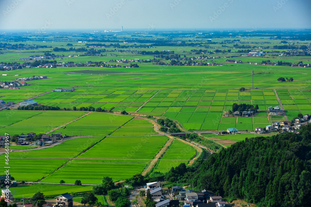 高台から見る上越市の田園風景