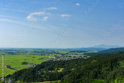 高台から見る上越市の田園風景