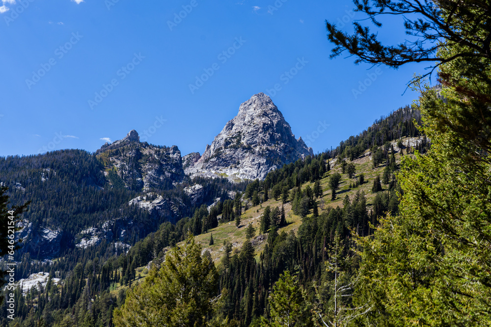 View of the Summit of Grand Teton Seen From a Hiking Trail with Alpine Forests Along the Hills