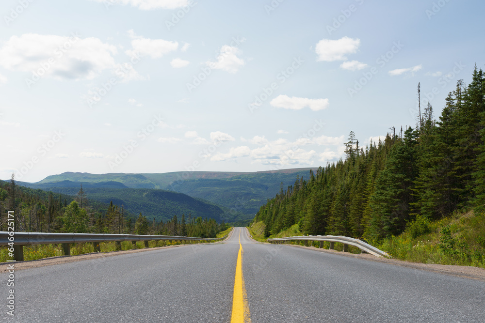 Fototapeta premium road in the mountains