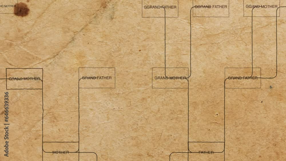 Family tree ancestry genealogy ancestors lineage chart, paper background