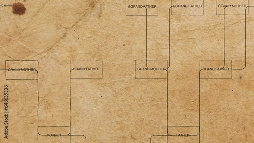 Family tree ancestry genealogy ancestors lineage chart, paper background