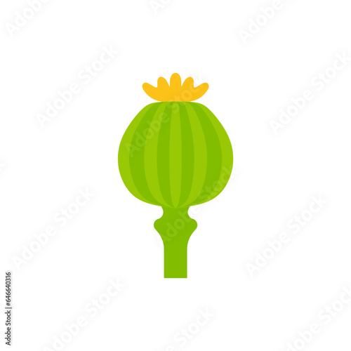 opium poppy flat design vector illustration