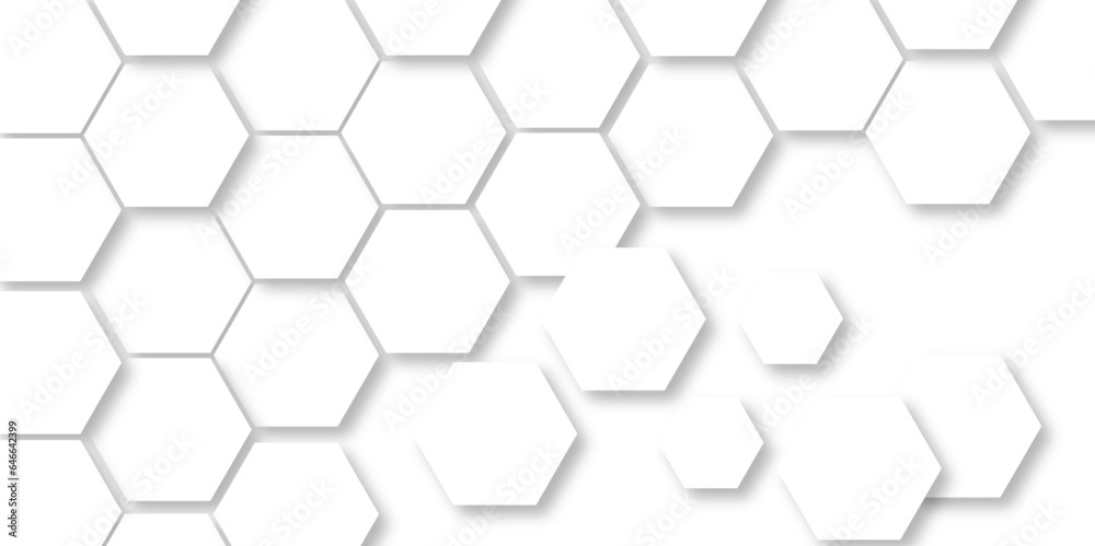 Fototapeta premium Abstract White Hexagonal Background. Luxury White Pattern. Vector Illustration. 3D Futuristic abstract honeycomb mosaic white background. geometric mesh cell texture. 