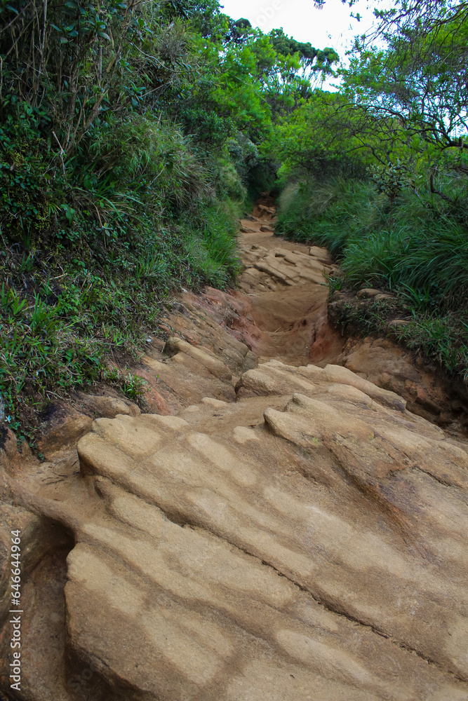 Hiking Trail, grassy plains and hills, in Horton Plains National Park Hiking Trail, grassy plains and hills, in Horton Plains National Park
