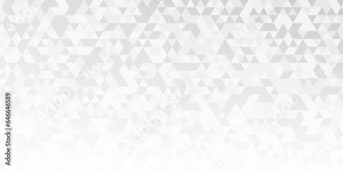 Abstract gray and white background. Abstract geometric pattern gray and white Polygon Mosaic triangle Background, business and corporate background.