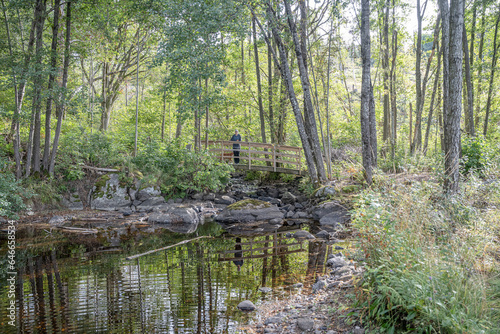 Girl hiking at Lake Ragnerudssjoen in Dalsland Sweden beautiful nature forest pinetree swedish photo