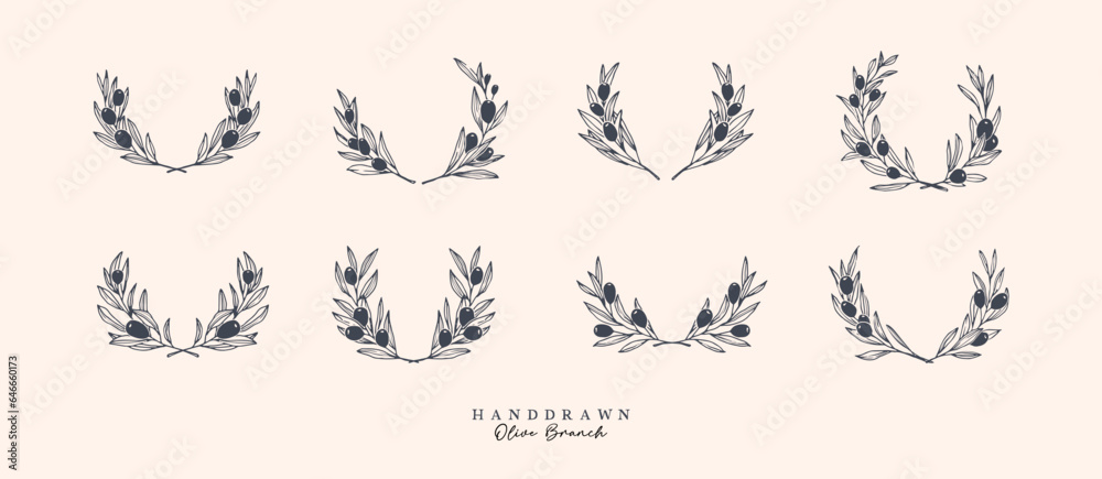 Fototapeta premium Olive Branch for olive oil logo or olive icon, hand drawn olive branch botanical herbs elements in vector format, floral olive frame and floral wreath 