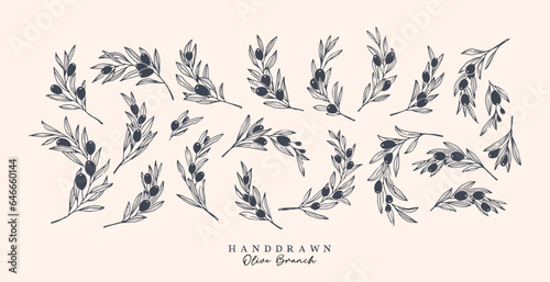 Olive Branch for olive oil logo or olive icon, hand drawn olive branch botanical herbs elements in vector format, floral olive frame and floral wreath
