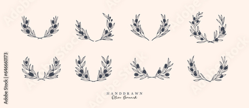 Olive Branch for olive oil logo or olive icon  hand drawn olive branch botanical herbs elements in vector format  floral olive frame and floral wreath 