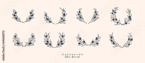 Olive Branch for olive oil logo or olive icon, hand drawn olive branch botanical herbs elements in vector format, floral olive frame and floral wreath
