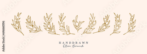 Olive Branch for olive oil logo or olive icon, hand drawn olive branch botanical herbs elements in vector format, floral olive frame and floral wreath 