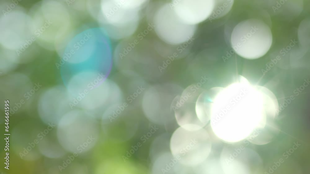 Nature green bokeh sunshine abstract blurred background