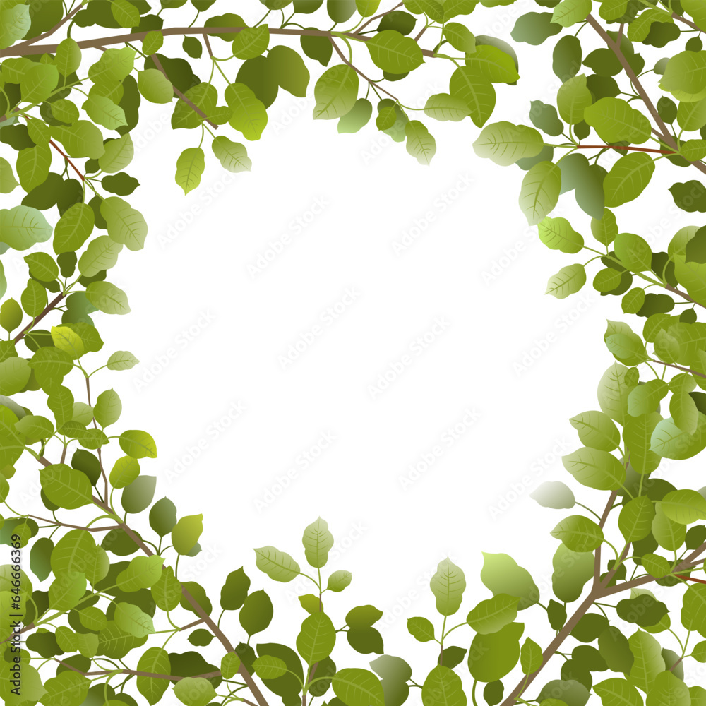 Tree branches with green leaves around edge of picture. Frame from plants. object isolated on white background. Vector Tree branches with green leaves around edge of picture. Frame from plants. object isolated on white background. Vector