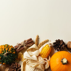 Autumn fall thanksgiving day composition with decorative pumpkins