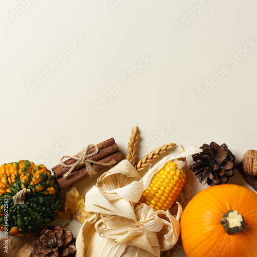 Autumn fall thanksgiving day composition with decorative pumpkins