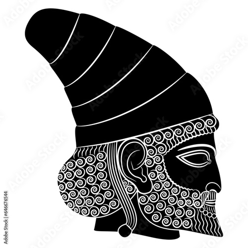 Head in profile of ancient Persian man from Persepolis. Male portrait of a bearded Achaemenid hero from Iran. Black and white negative silhouette. photo