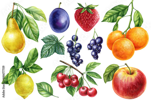 Fruits set on isolated white background, watercolor botanical painting. Orange, cherry, Lemon, Strawberry, plum and pear