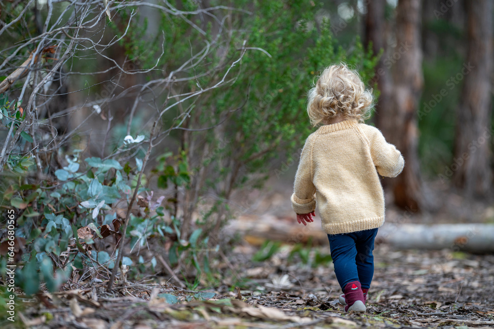 toddler hiking in the forest on a path. kids walking in the forest