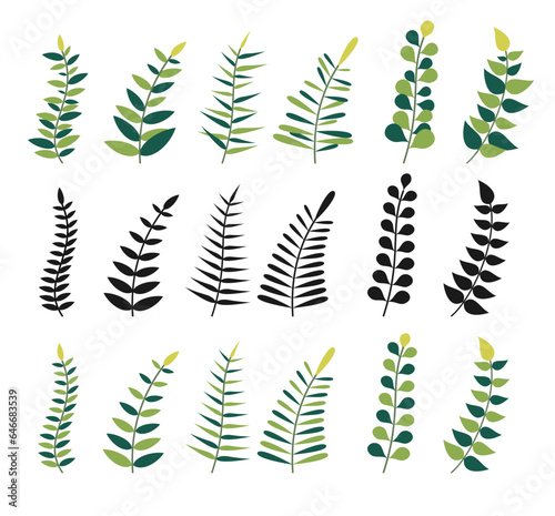 vector collection of leaves with several editable models