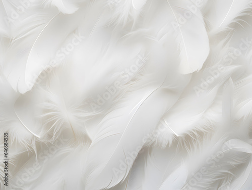 Close up White feather background