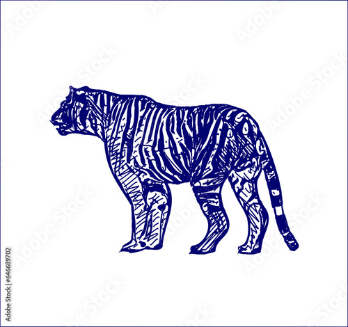 Fototapeta Naklejka Na Ścianę i Meble -  sketch of a tiger with a transparent background