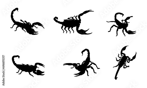 Scorpion silhouette vector set design © Irfan
