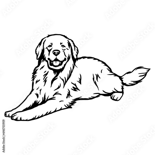 Great Pyrenees - Dog Breed, Funny dog Vector File, detailed vector
