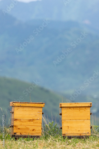 2 wooden houses for bees on a mountain bee farm, a beehive in an apiary, copy space, vertical.