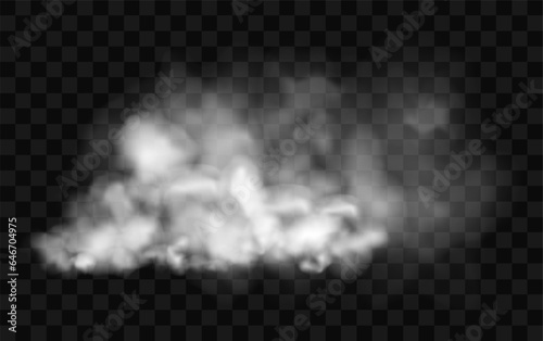 Smoke cloud stream. Transparent fog effect. White vector cloudiness, mist or smog background. Vector illustration isolated transparent special effect