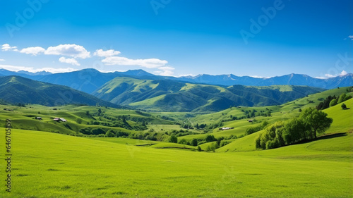 Green field and blue sky  mountain hill  summer scenery background