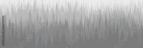 Coniferous forest in the morning haze, seamless border, black and white landscape, banner