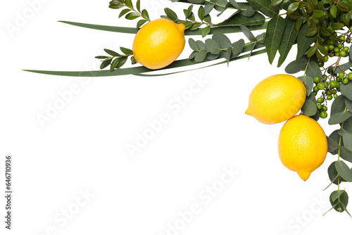 PNG, lemon with tree leaves, isolated on white background. photo