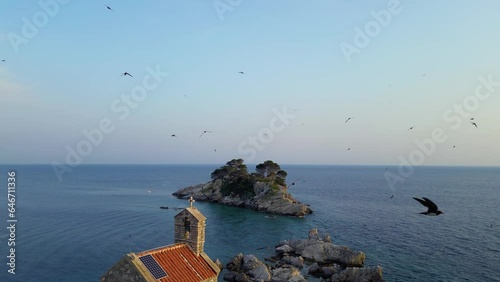 Bird Island Escape, Bird Attack, Aerial Pano photo