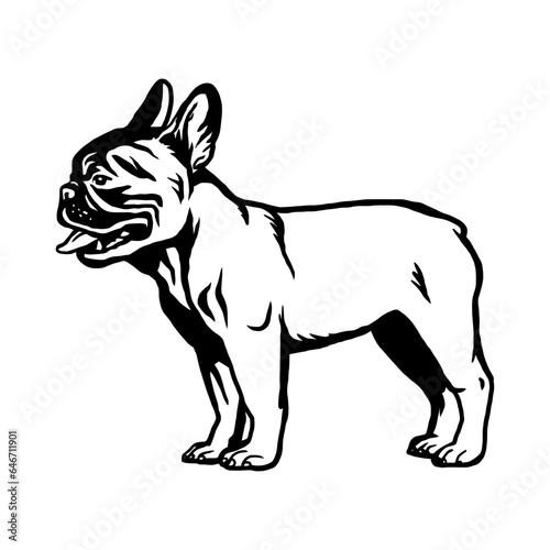 French Bulldog - Dog Breed  Funny dog Vector File  detailed vector