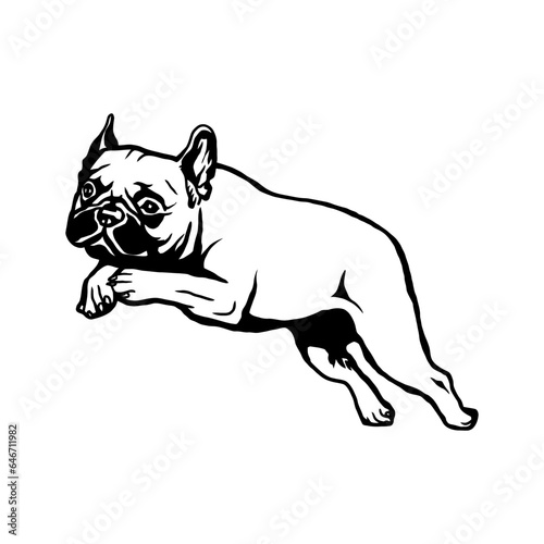 French Bulldog - Dog Breed  Funny dog Vector File  detailed vector