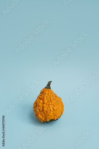 Small decorative pumpkin on light blue background. Autumn, fall, thanksgiving or halloween concept. Copy space