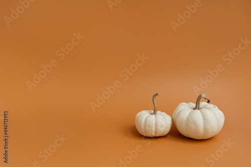 Photos Beautiful decorative pumpkins on ginger orange background