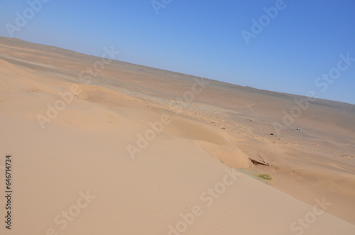 footprints in the dunes