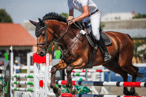 Horse jump over hurdles. Equestrian show jumping with unrecognizable male jockey. Sport event © encierro