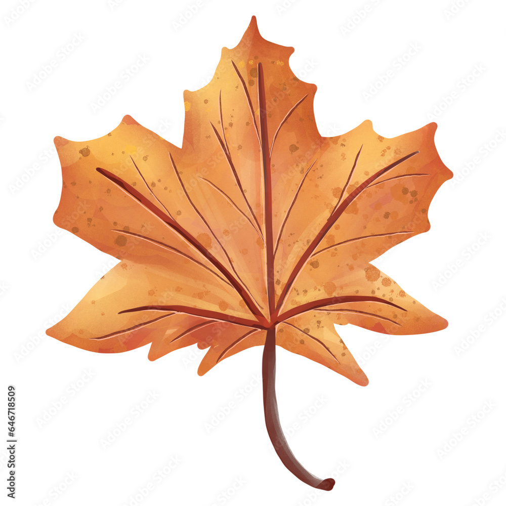 Fototapeta premium Fallen leaves 